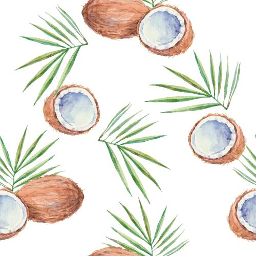 Fruit. Vector whole coconuts halves leaves on white