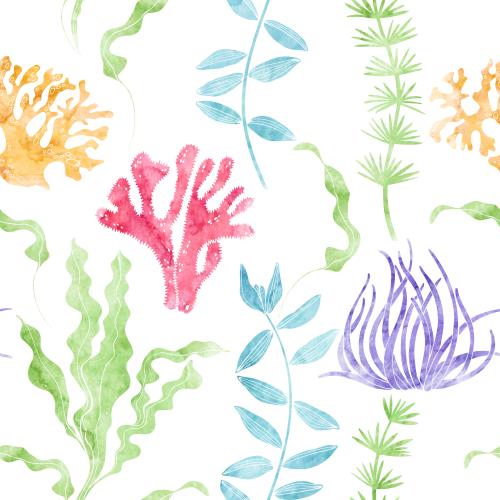 Raster image watercolor underwater plants on white