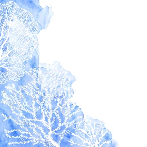 Illustration corals on a blue watercolor fragment, space for text on white