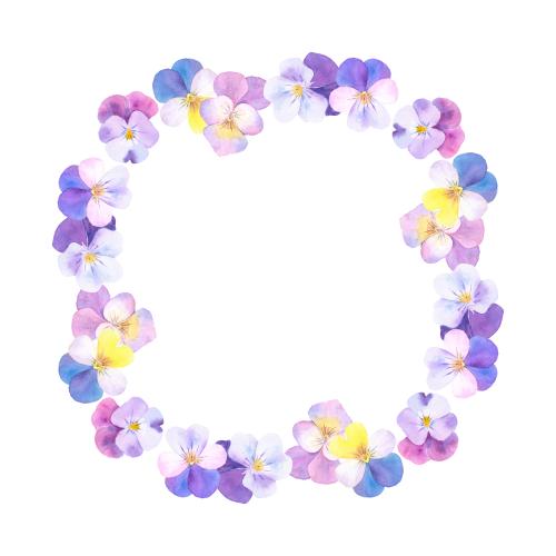 Raster image watercolor cornflowers, frame-wreath on white