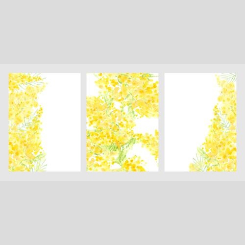 Raster image three watercolor mimosa postcards