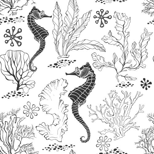 Seaweed. Vector seahorses and seaweed on white