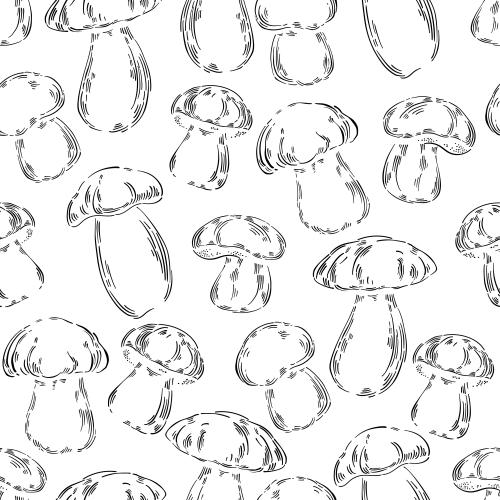 Black-white. Vector white mushrooms black contours on white