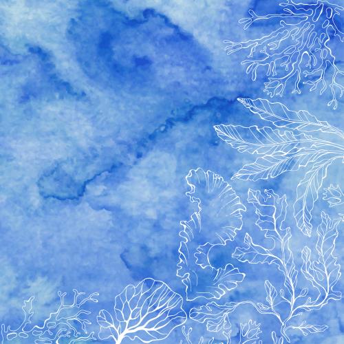Vector image marine algae, corals, place for text on blue watercolor