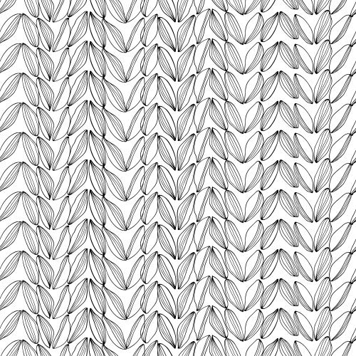 Cardamom. Vector cardamom on white