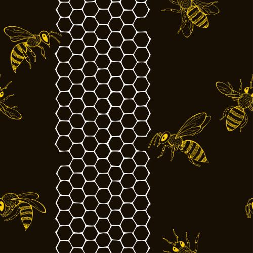 Honeycombs. Vector bees and honeycombs on black