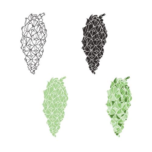 Vector image young cones, four variants on white