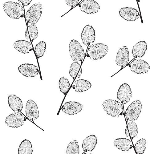 Willow. Vector silhouettes of willow branches on white