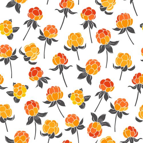 Cloudberry. Vector cloud berry on white