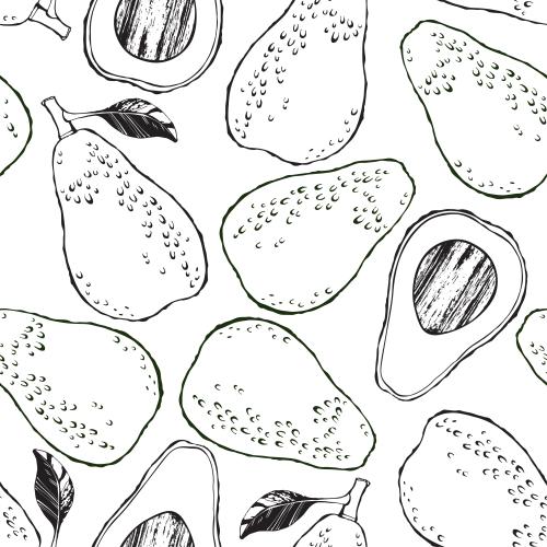 Avocado. Vector monochrome avocados, whole and halves on white