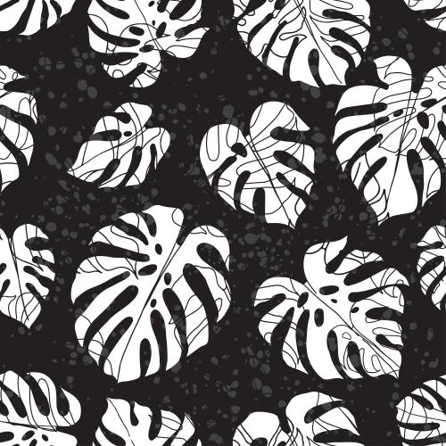 Blot. Vector monstera leaves, silhouettes, contours on textured black