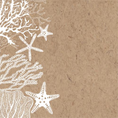 Vector image sea stars, corals, algae, place for text on craft