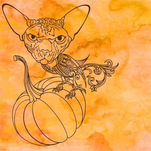Cat. Vector fantasy animal with a cat's head and a bird's body sitting on a pumpkin space for text on an orange watercolor