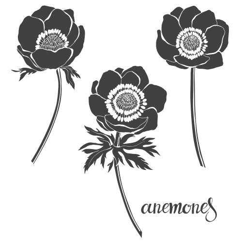 Anemone. Vector anemones black silhouettes on white