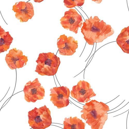 Illustration watercolor poppies on white