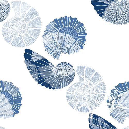 Nautilus. Vector nautiluses on white