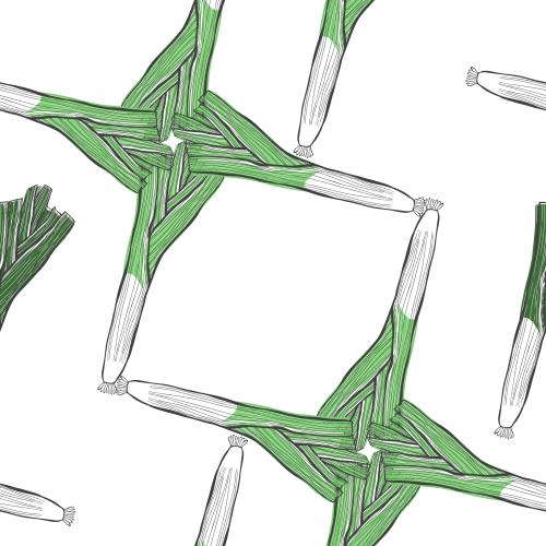 Onion. Vector leek, decorative arrangement on white