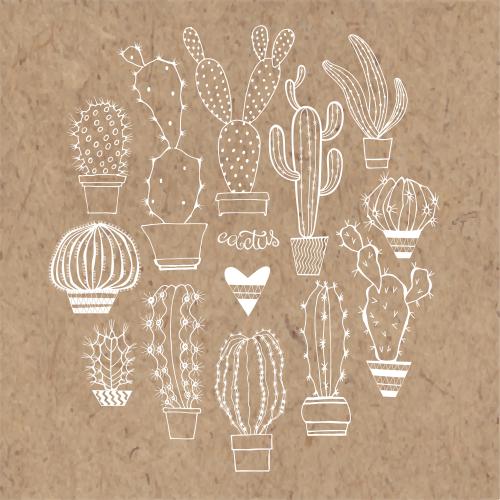 Cactus. Vector cacti in pots white outlines on craft
