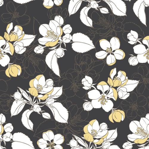 Apple tree. Vector apple blossom flowers colored silhouettes contours on black