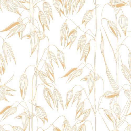 Oats. Vector oats on white