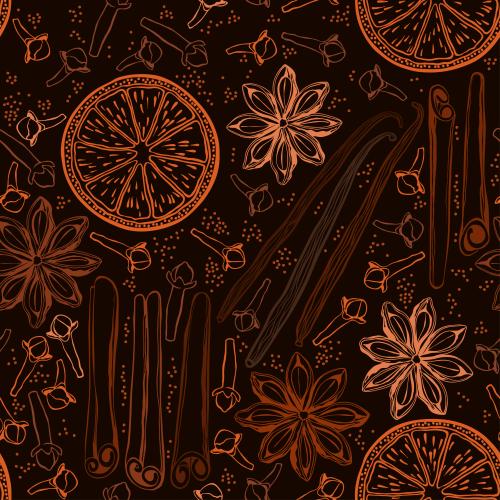 Vanilla stick. Vector cinnamon sticks and vanilla clove anise orange slices on dark brown