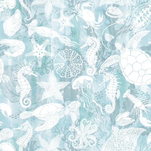 Shell. Vector marine creatures
