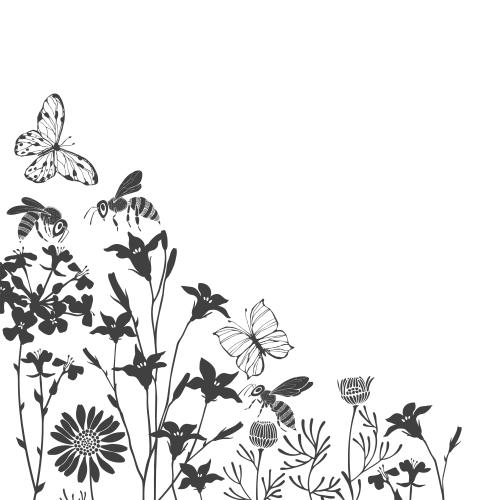 Chamomile. Vector butterflies, bees, meadow flowers, text area, silhouettes on white