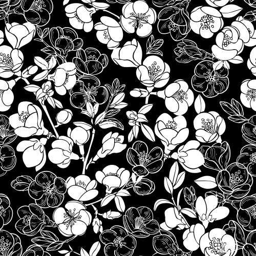 Japanese quince. Vector japanese loquat, branches with flowers, white silhouettes and contours on black