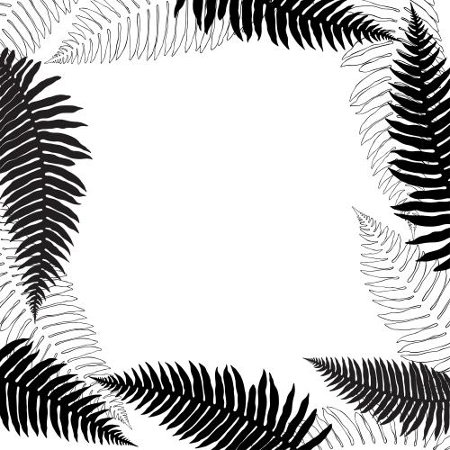 Fern. Vector fern leaves place for text on white