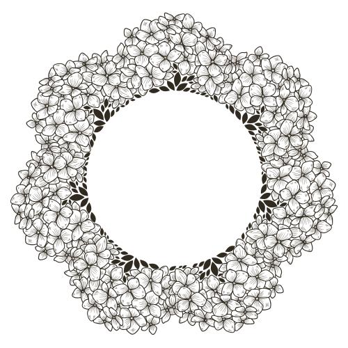 Hydrangea. Vector round frame of hydrangea inflorescences on white