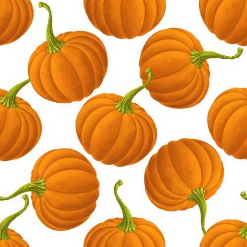 Raster image pumpkins on white