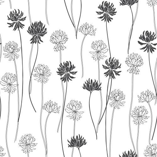 Clover. Vector clover flowers contours and silhouettes on white
