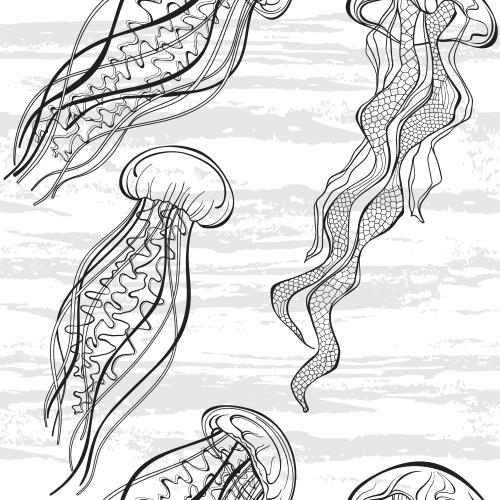 Jellyfish. Vector jellyfish waves on white