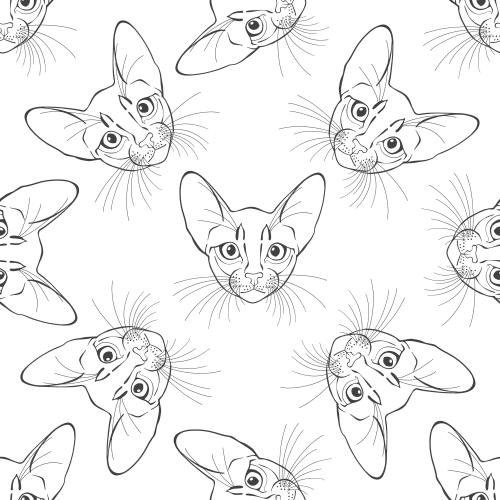 Black-white. Vector abyssinian cats, cute faces on white