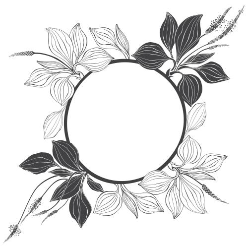 Plantain. Vector circular frame with a chickweed, black outlines and silhouettes on white