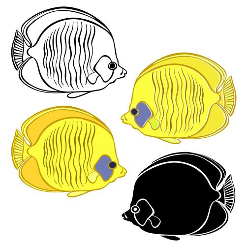 Vector image tropical fish, contour and silhouettes on white