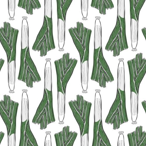 Onion. Vector vertical leek on white