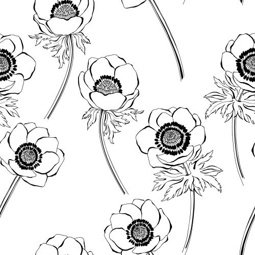Anemone. Vector anemones on white