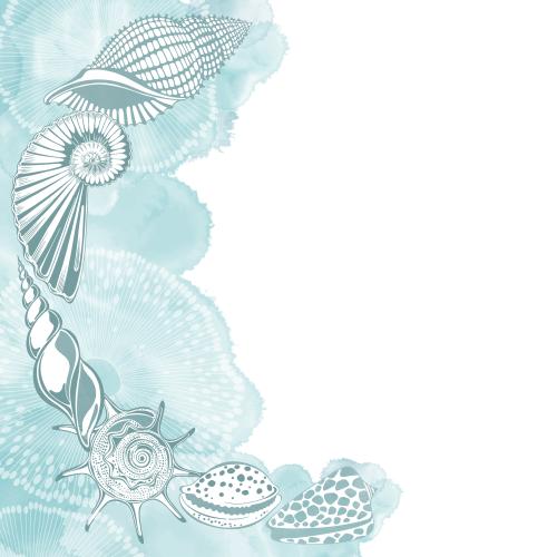 Nautilus. Vector nautiluses shells underwater creatures watercolor fragment space for text on white