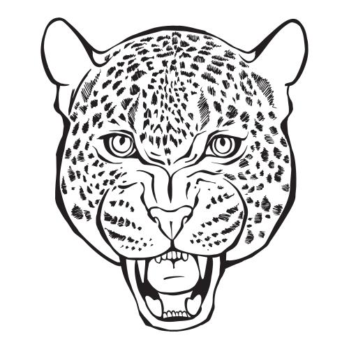 Leopard. Vector leopard head on white