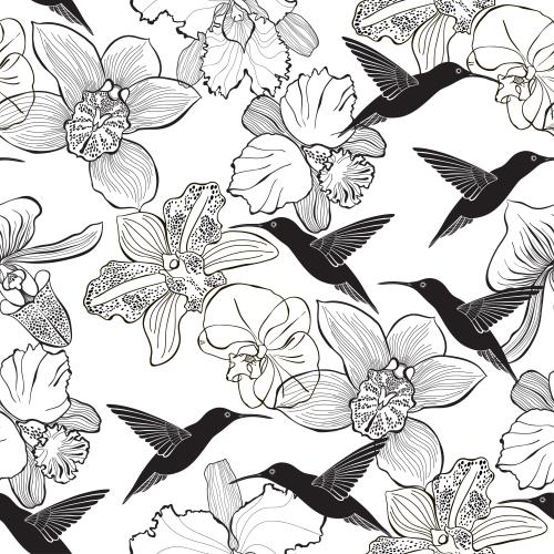 Hummingbird. Vector orchids and hummingbirds on white