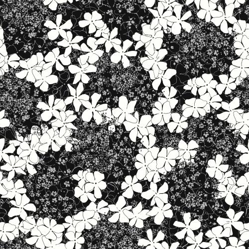 Guelder rose. Vector snowball flowers on black