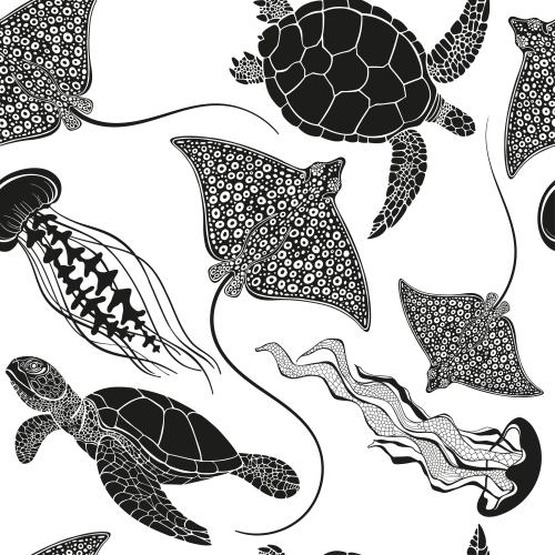 Turtle. Vector turtles, rays and jellyfish on white