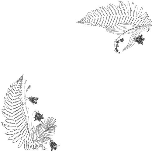 Forest. Vector bellflower blossoms lily of the valley fern leaves and pine branch place for text on white