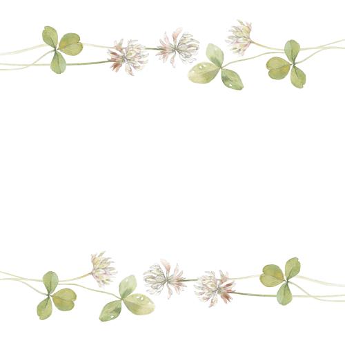 Raster image clover, watercolor flowers and leaves, space for text on white