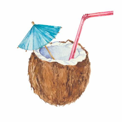 Fruit. Vector coconut cocktail on white