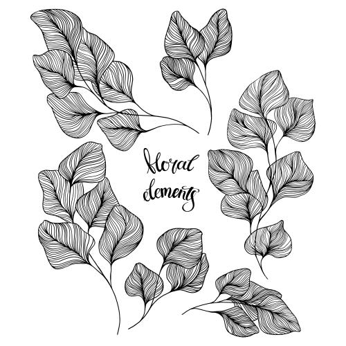 Vector image twigs with leaves, options on white