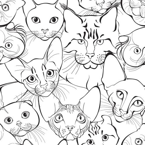 Scottish fold. Vector little faces of cats of different breeds on white