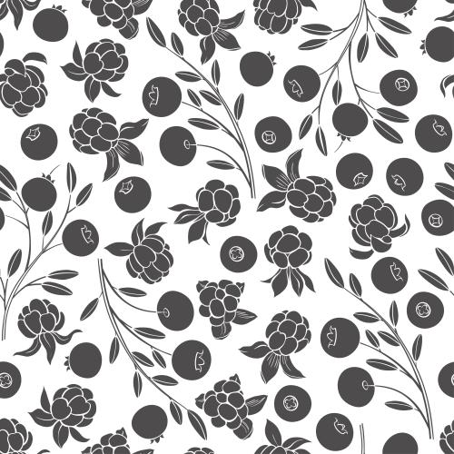 Cranberry. Vector cloudberry and cranberry black silhouettes on white