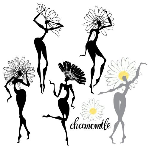 Chamomile. Vector dancing daisies, silhouettes on white